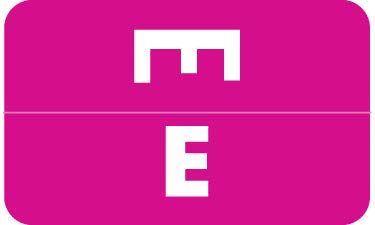 Doctor Stuff - File Folder Labels, Alphabet Letter E, Compatible with Smead Alpha Z Acc/ACCS - SMSM Series Alpha Stickers Purple, 1-5/8" x 1”, 250/