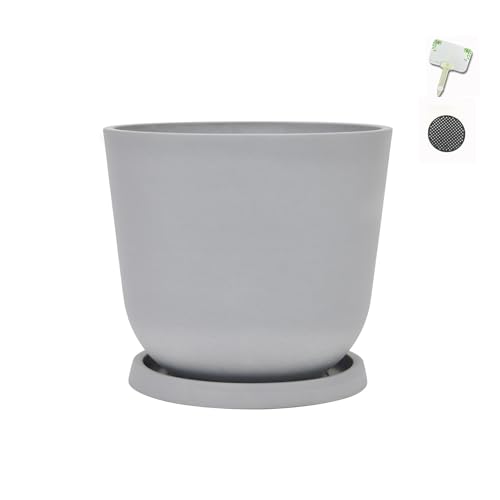 Greenship 8 ^gCZbg k}bg GRfށi60%{Ε40%jϋv悢 OpiCgO[j