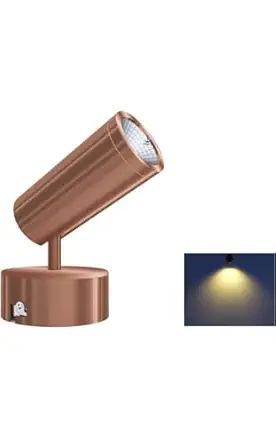 Glowave 10W Modern LED Wall/Ceiling Spot Light with Adjustable Head - Warm White (Rose Gold/Copper)