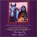 Miniatura 1 de Various Native American Artists Solo Flights Vol 2
