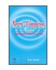 NeuroComputers: Optimization Based Learning : Amazon.in: Books