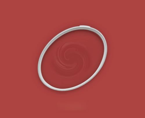 BRICOFLOR Stark deckende Wandfarbe rot in 2,5 und 5 Litern ideal für Küche und Wohnzimmer Rote Farbe seidenmatt für Wand und Decke