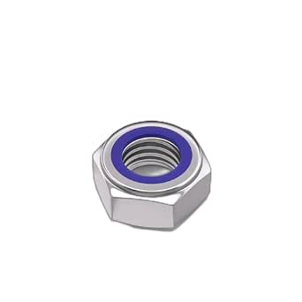 TESILANG M22(1pcs) Nylon Insert Hex Lock Nuts Stainless Locknuts, Hex ...