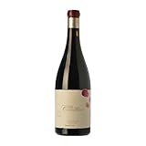 Descendientes J. Palacios Villa de Corullón Mencía Bierzo Botella Jéroboam-Doble Mágnum 3 L Vino tinto