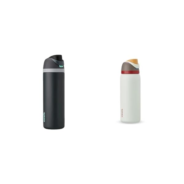 Owala FreeSip 32oz Insulated Stainless Steel Water Bottles with Straw 2-Pack in Foggy Tide and Boneyard