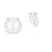 Baoblaze Elegant Transparent Small Fish Tank Vase with Hanging Green Plant Vines Wall for Office Home Bedroom Table Decor