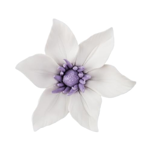 MOTHNUR Adorno De Pared De Flores 3d Clemátide Blanca Decorativa Grande Cerámica Artesanal Para Hogar Jardín Oficina Único