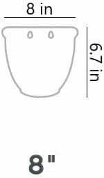 Miniatura 6 de The HC Companies Maceta de pared de jardín de 8 pulgadas, maceta colgante de plástico para flores de interior y exterior, hierbas, verde azulado