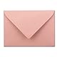 10x DIN C5 Kuverts 15,7 x 22,5 cm in Altrosa (Rosa) mit goldenem Seidenfutter - Nassklebung - Blanko Brief-Umschläge - Post-Umschläge ohne Fenster im C5 Format - Marke: FarbenFroh by GUSTAV NEUSER