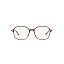Transparent Brown/Demo Lens
