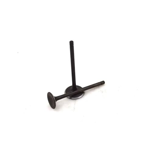 Joint de soupape d'admission WH100T pour stopper la fumée bleue du moteur