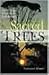 Sacred Trees: Spirituality, Wisdom & Well-Being