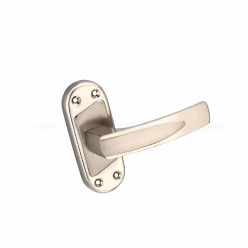 Image of Duke Lock Baby Mortice Set 1001 SS for Main Door, Kitchen, Bedroom, Office, Brass Latch Body with Premium Design Stainless Steel Color 100 MM (5 INCH)