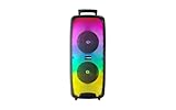 Fisher Bluetooth PA Stereo Speakers System-Karaoke Portable Wireless DJ, Dual 6.5' 16W Peak Power, Loud HD Sound & LED Lights, Rechargeable, Microphone, USB, TWS, FM Radio, Indoor/Outdoor Party