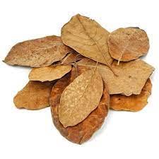 Greenwise Dried Jackfruit Leaves (Katahal Leaves)(25 LEAF)
