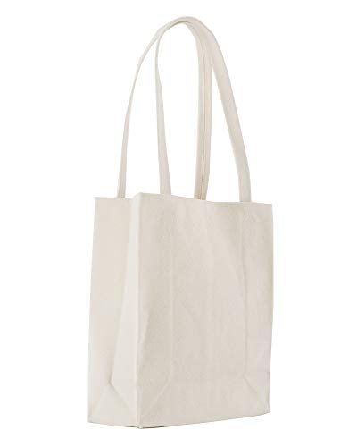 BAGGU Canvas Reusable Retail Tote, Shopping or Lunch Bag, Recycled Canvas