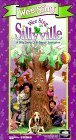 Wee Sing In Sillyville [VHS]