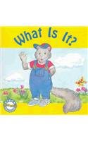What Is I-Phonics Read Set 1 (Phonics Readers) 0811451526 Book Cover