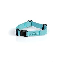 Sleepypod Suede Breakaway Cat Collar XS Turquoise