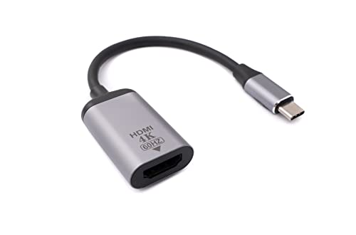 Câble HDMI femelle vers USB C cordon adaptateur vidéo gris 20cm