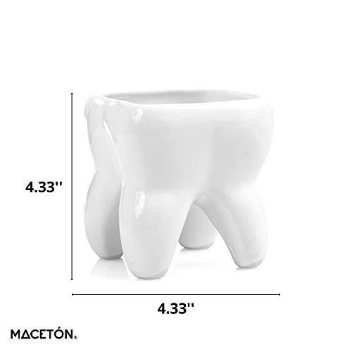 Macetas, Home Imagen adicional