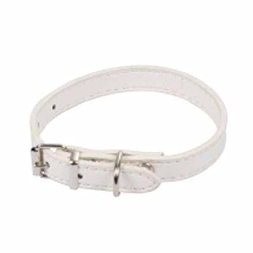 SONDEY Paris Prix Dog Collar Plain 30 cm White