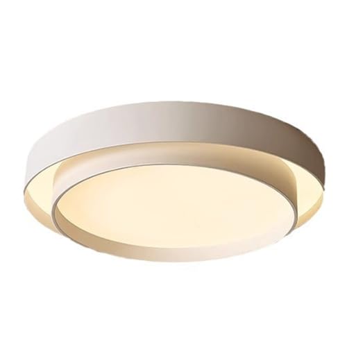 LOEKSDGEW Modern LED Flush Mount Ceiling Light Minimalist Double Ring