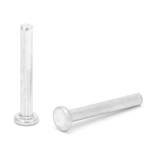 DEWIN M2.5 Nail Rivets Assortment Kit 100pcs M2.5 * 18/20mm Flat Head Aluminum Rivets Countersunk Solid Rivets for Electrical Applications Leather Working Supplies (M2.5 * 18)