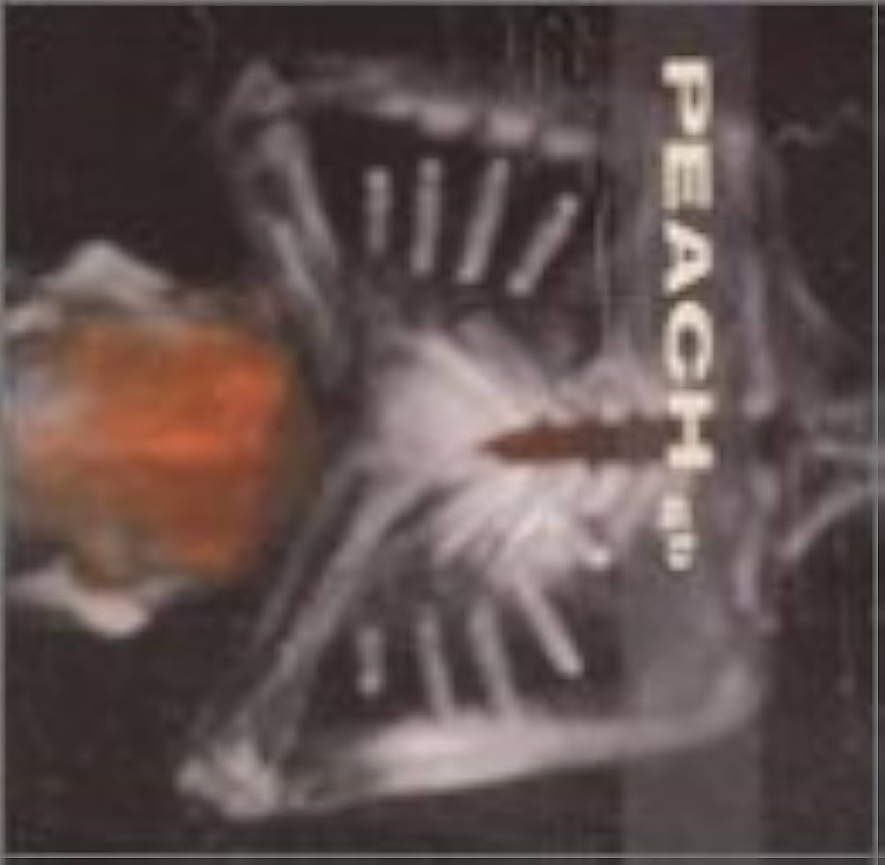 PEACH gb　GIVING BIRTH TO A STONE 21CG1RGKJ0L._UF1000,1000_QL80_.jpg