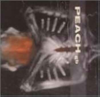 Giving Birth To A Stone: Amazon.co.uk: CDs & Vinyl