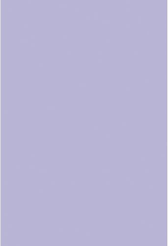 Miniatura 8 de Renaiss Telón de fondo azul bebé de 6 x 9 pies para sesión de fotos, retrato de color sólido, monocromático, pantalla azul claro, fondo de