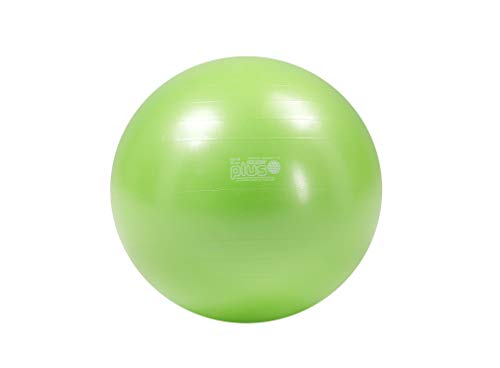 GYMNIC Gimnik Plus ballon de gym pilates et rééducation dos