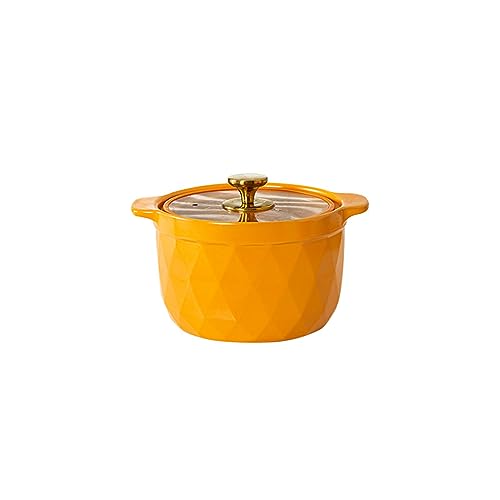 Marmite à soupe céramique anti-fissuration et haute température