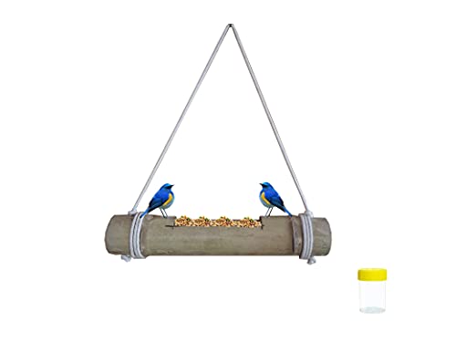 Image of Bird Feeder Hanging Bamboo Bird Feeder for Domestic Birds - Free Food Storage JAR