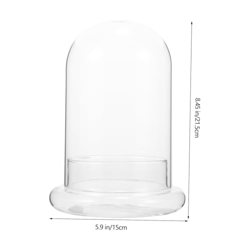 Accessoire pour micro-paysage avec cloche decorative - 3