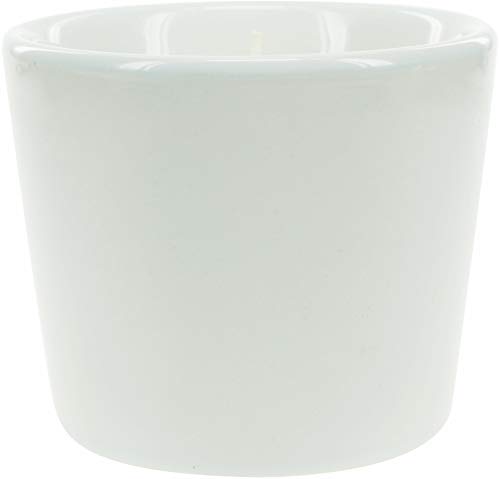 Pavilion Gift Company Blow Me It's My Birthday-White & Gold 8Oz Tranquility Funny Single Wick Candle In Ceramic Vessel, Pink #TOP1