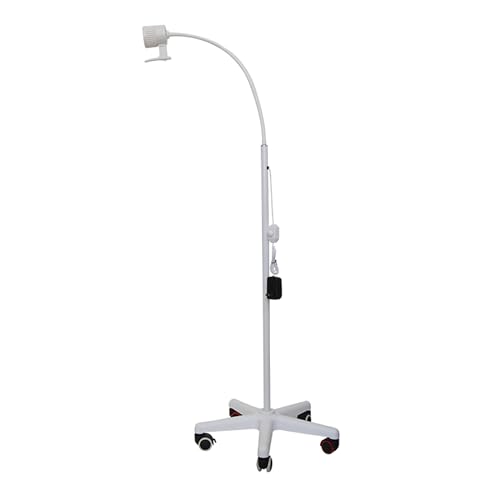 Genérico Lámpara LED de exploración ginecológica, lámpara móvil de exploración quirúrgica con iluminación cálida y fría Ajustable, Cuello de Cisne Flexible, iluminación para consultorio médico (Blanc