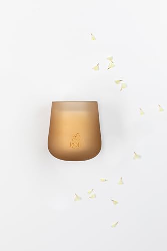 Roho Airdeco vela aromatica M (275g) | 50 horas de combustion | cera natural | fragancia fig garden (higo, bergamota, cedro) | hecho a mano en España