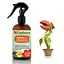 CARNIVOROUS PLANTS