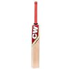 CW Storm Junior Cricket Set with Bag Training Sports Cricket Bag Protective Gears Full Set Unisex Children Mini Size 5 for 10 to 11 Years Old Age Boys & Girls Complete Set with Durable Bat