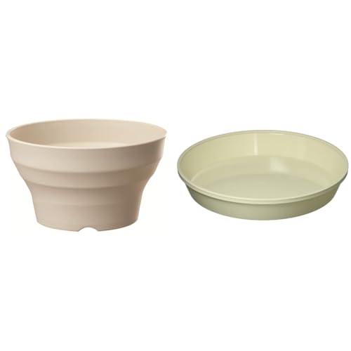 avX`bN  v^[ tO[{[ 30^ 295×H170 AC{[yMZbgz