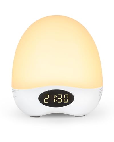 Image of Egg Night Light for Nursery, Portable Rechargeable Baby Nightlight with Touch Control & RGB Color Changing, Dimmable Breastfeeding Lamp with Timer, Cute Wireless Night Light, Newborn Essentials
