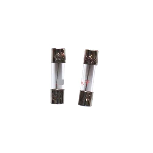 Fusible de fusión lenta 5x20mm T2AL de 250V en tubo de vidrio, pack de 100 unidades