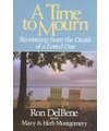 Time to Mourn: One Woman's Journey Through Widowhood 0453007171 Book Cover