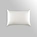 ALASKA BEAR Luxurious 25 Momme Silk Pillowcase, 100% Mulberry Silk Pillow Case Cover, Standard (1, Ivory(Natural Undyed White))
