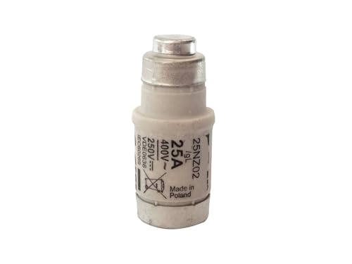 Fusible GL 25NZ02 25A 400V pour cartouche domestique