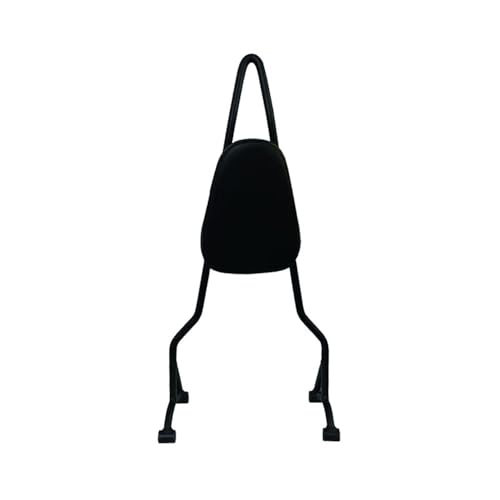 Siège coussin de dossier arrière moto CLC450 soutien ergonomique