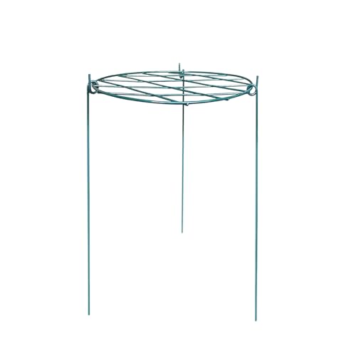 Garden Mile Supports circulaires de 50 cm pour plantes d'extérieur - Support en métal robuste - Flexible et solide - Parfait pour les roses, les tournesols, les pivoines