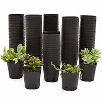 Greenursery 30 Pcs Of 4 Inch Round Black Plastic Flower Pots For Indoor Plants Small Heavy Duty For Gardening, Balcony, Garden Flowers, Home Decoration Gamla With Drainage Hole (Pack of 30) (B0D3BCPR4P) Amazon Price History, Amazon Price Tracker