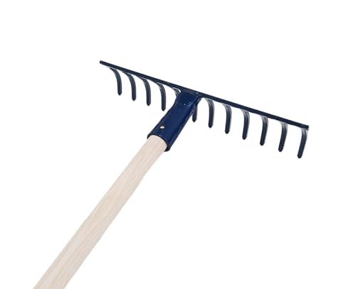 NG NICCOLAI RASTRELLI PESANTI VARIE DENTATURE CON E SENZA MANICO MADE IN ITALY (12 DENTI CON MANICO)